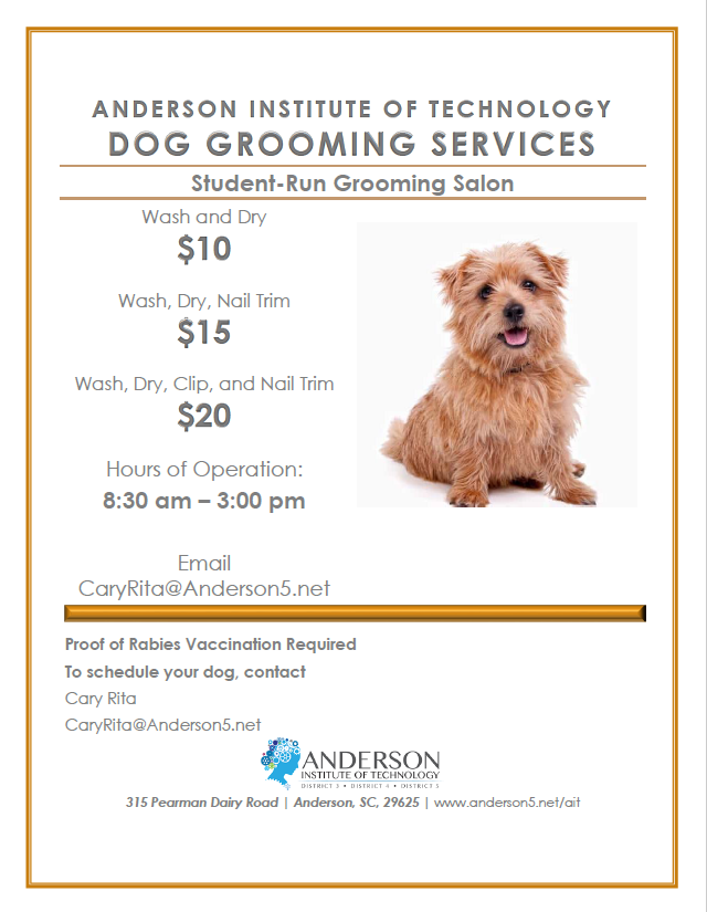 Dog Grooming Flyer